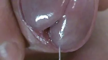 பெரிய-அடிப் பெண் அன்னி அரோரா பசுப் பெண்ணின் தோரணையில் குத்தப்பட்டுள்ளார்
