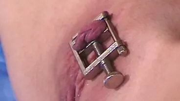 ஸ்வீட் மினியேச்சர் அழகி இசபெல்லா நைஸ் நாய் பாணியில் ஊடுருவியது